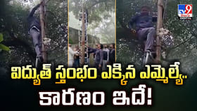 విద్యుత్‌ స్తంభం ఎక్కిన MLA.. కారణం ఏంటో తెలిస్తే షాక్ అవుతారు