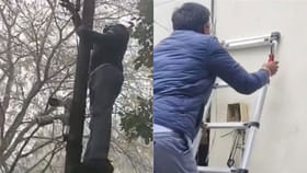 Viral Video: వాహ్‌.. ఎమ్మెల్యే అంటే గిట్లుండాలి వయా...