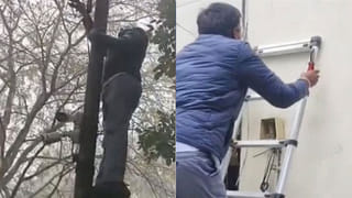 Viral Video: లంచగొండి బ్రోకర్‌కు దెబ్బకు లాగు తడిచింది… చెక్‌పోస్టు వద్ద లంచం అడిగినందకు ఏం చేశాడో చూడండి…