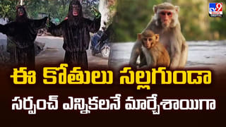 రోడ్డుపక్కన గుట్టలు గుట్టలుగా ఏటీఎం కార్డులు