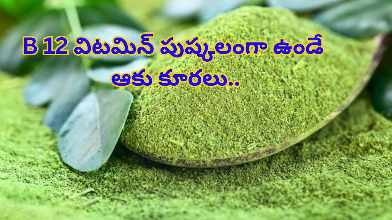 Vitamin B12 Defeciency: B 12 విటమిన్ పుష్కలంగా ఉండే ఈ 4 ఆకులు తిన్నారంటే.. శరీరానికి కావాల్సినంత బలం..