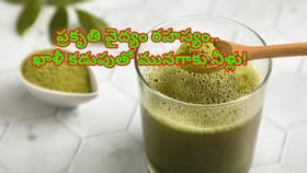 ప్రతిరోజూ ఖాళీ కడుపుతో మునగాకు నీళ్లు తాగుతున్నారా..?ఇది తెలిస్తే