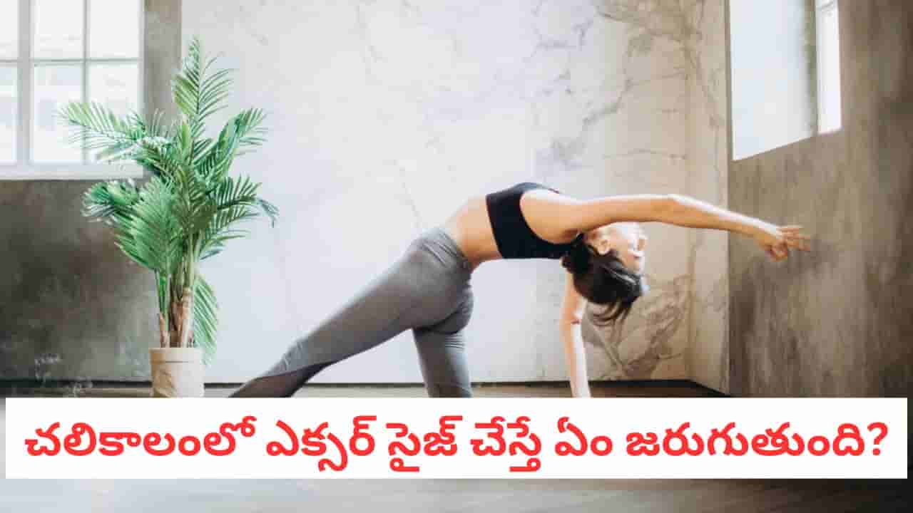 Winter Workout: శక్తిని పెంచే కోబ్రా పోజ్.. చలికాలంలో ఈ ఎక్సర్సైజ్ చేస్తే మ్యాజిక్కే..