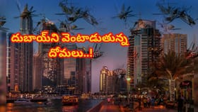బాబోయ్.. దుబాయ్‌ని వెంటాడుతున్న దోమల దండు.. ప్రభుత్వ హెచ్చరిక..!