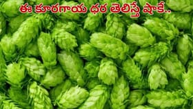 కిలో లక్షల్లోనే.. భారత్‌లోనే అత్యంత ఖరీదైన కూరగాయ.. ఎలా..