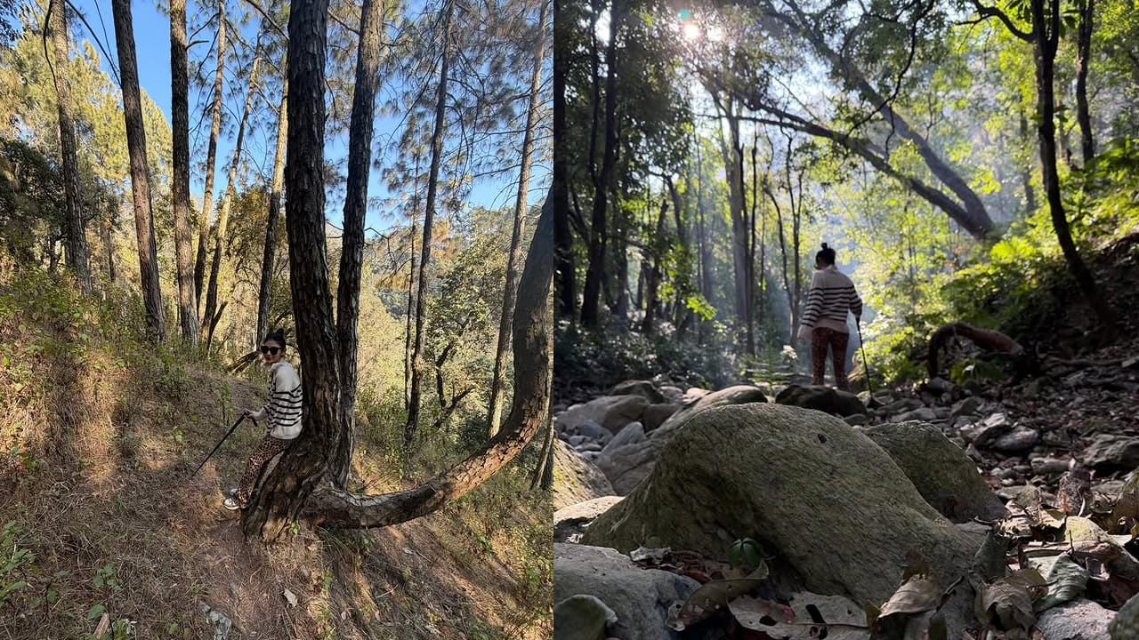 బాలీవుడ్ బ్యూటీ మౌని రాయ్ గురించి ఎంత చెప్పినా తక్కువే. బాలీవుడ్ బుల్లి తెరపై నాగీన్ సీరియల్‌తో మంచి క్రేజ్ సంపాదించుకుంది ఈ బ్యూటీ తర్వాత తెలుగు బుల్లితెరపైకి ఎంట్రీ ఇచ్చి నాగినీ సీరియల్‌తో తెలుగు అభిమానుల ఫేవరెట్ నటిగా మారిపోయిది. ఈ అమ్మడు ఈ సీరియల్‌తో బాలీవుడ్ టూ టాలీవుడ్ విపరీతమైన ఫ్యాన్ ఫాలోయింగ్ సంపాదించుకుంది.