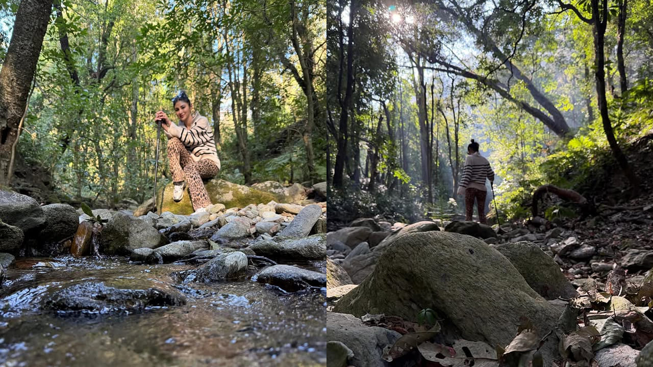 తన అందం, అభినయంతో ప్రతి ఒక్కరినీ కట్టిపడేసింది. ఈ ఫేమ్‌తో వెండితెరపైకి ఎంట్రీ ఇచ్చి, చాలా సినిమాల్లో కీలకపాత్రల్లో నటించి, మెప్పించింది. ముఖ్యంగా అలియా,రణ్ బీర్ కపూర్ , నాగార్జున నటించిన బ్రహ్మాస్త్రం సినిమాలో కీలక పాత్రలో నటించి మెప్పించింది. దీని తర్వాత ఈ బ్యూటీకి వరసగా అవకాశాలు క్యూ కట్టాయి.