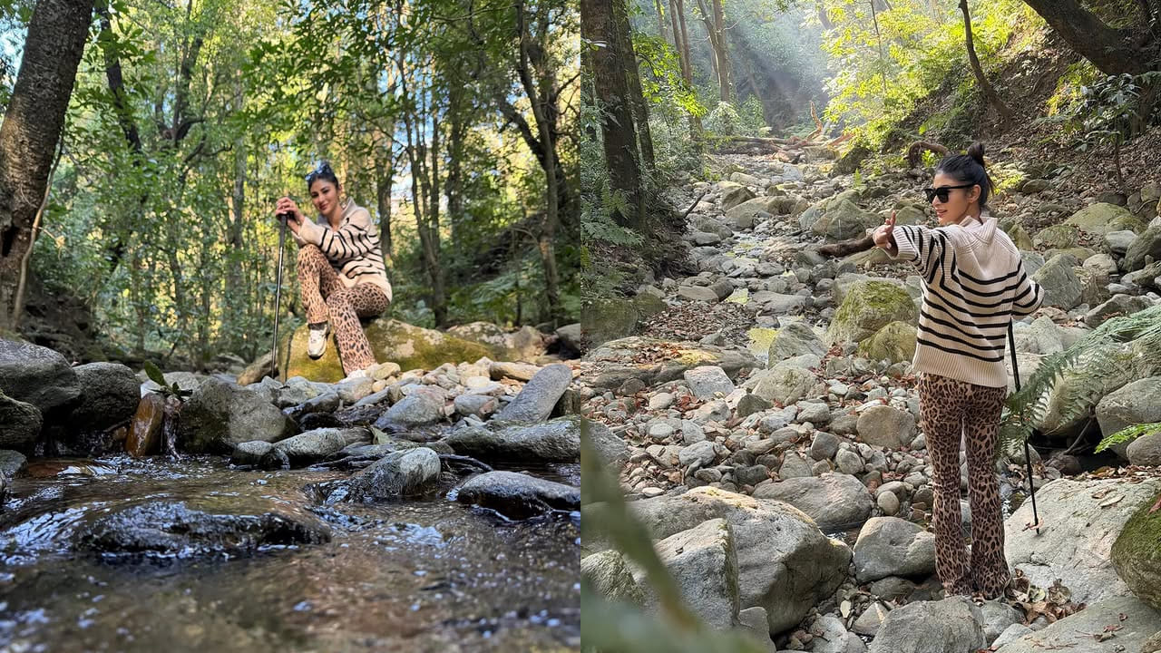 దీంతో టాలీవుడ్, బాలీవుడ్‌లో లు సినిమాల్లో నటిస్తూ మంచి గుర్తింపు సంపాదించుకుంటుంది. ముఖ్యంగా ఈ అందాల ముద్దుగుమ్మ టాలీవుడ్ మెగాస్టార్ చిరంజీవి సినిమాలో ఛాన్స్ కొట్టేసింది. మెగాస్టార్ విశ్వంభర మూవీలో ఈ అమ్మడు ఓ స్పెషల్ సాంగ్‌లో కనిపించనున్నట్లు సమాచారం.