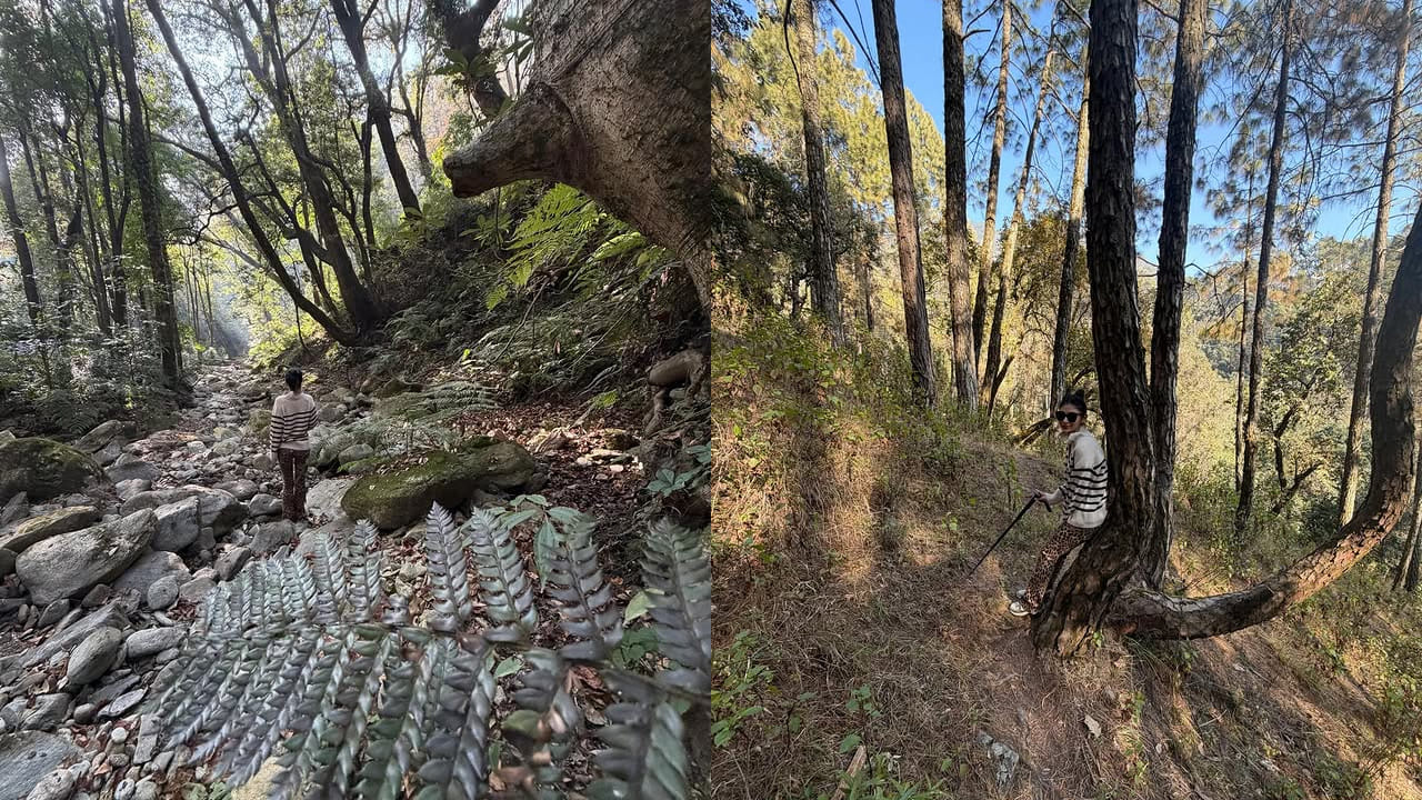 ఇక సినిమాలు, స్పెషల్ సాంగ్స్‌తో బిజీ బిజీగా ఉండే ఈ ముద్దుగుమ్మ ఏ మాత్రం సమయం దొరికినా సరే వెకేషన్ వెళ్లి ఎంజాయ్ చేస్తుంటుంది. ఈ క్రమంలోనే ఈ బ్యూటీ అడవుల్లో అడ్వైంచర్ ఎంజాయ్ చేస్తున్న కొన్ని ఫొటోస్ షేర్ చేసింది. ఇవి అభిమానులను తెగ ఆకట్టుకుంటున్నాయి.