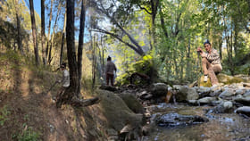 అడవుల్లో ఆగం చేస్తున్న నాగినీ బ్యూటీ.. సింపుల్‌గా ఎంత అందంగా ఉందో