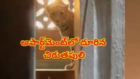 అపార్ట్‌మెంట్‌లో దూరిన చిరుతపులి.. చిన్నారి సహా ఏడుగురిపై దాడి..