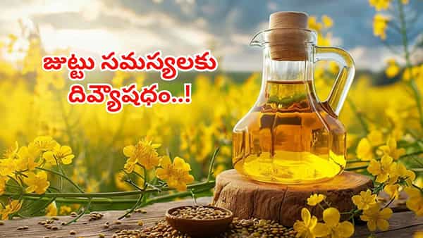 Hair Growth: జుట్టు రాలుతోందని తెగ ఫీలవుతున్నారా? ఈ నూనెతో మసాజ్ చేసుకున్నారంటే మ్యాజిక్