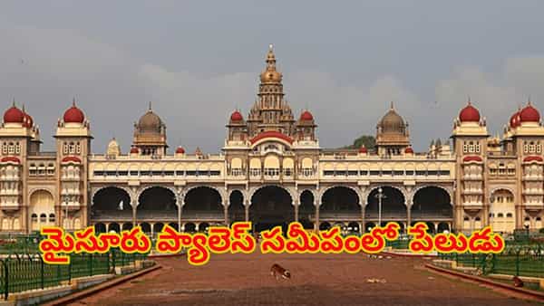 మైసూరు ప్యాలెస్ సమీపంలో భారీ పేలుడు.. ఒకరు స్పాట్ డెడ్..పలువురికి గాయాలు