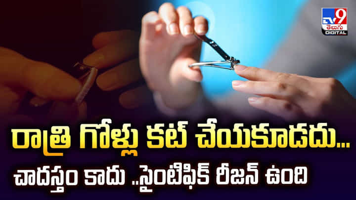 రాత్రి గోళ్లు కట్ చేయకూడదు.. చాదస్తం కాదు ..సైంటిఫిక్ రీజన్ ఉంది రాత్రి గోళ్లు కట్ చేయకూడదు.. చాదస్తం కాదు ..సైంటిఫిక్ రీజన్ ఉంది