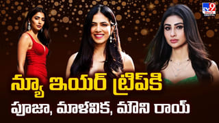 Avatar 3 Villian: ఏంటీ.. అవతార్ 3లో విలన్.. ఆ స్టార్ హీరో మనవరాలా.. ? ఆమె బ్యాగ్రౌండ్ తెలిస్తే..