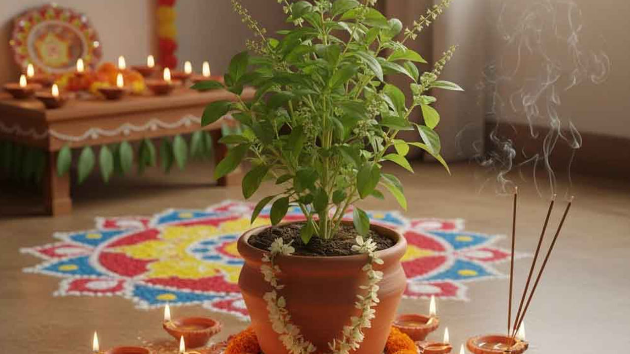 కొత్త సంవత్సరం మొదటి రోజు మహిళ తప్పకుండా ఇంటిముందు అందంగా ముగ్గులు వేసి, తులసి చెట్టును పూజించి, దానికి ఎరుపు రంగు దారం కట్టాలంట. అంతే కాకుండా తులసి పూజ చేస్తూ, విష్ణు మంత్రాలు జపించాలి. దీని వలన ఇంటిలో సంపద పెరుగుతుందంట. ఆరోగ్యపరంగా, ధన పరంగా కలిసి వస్తుందని చెబుతున్నారు వాస్తు నిపుణులు.