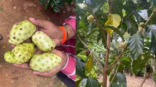 Tollywood: “టికెట్ రేట్ కంటే పాప్ కార్న్ రేట్ ఎక్కువ అయింది..”