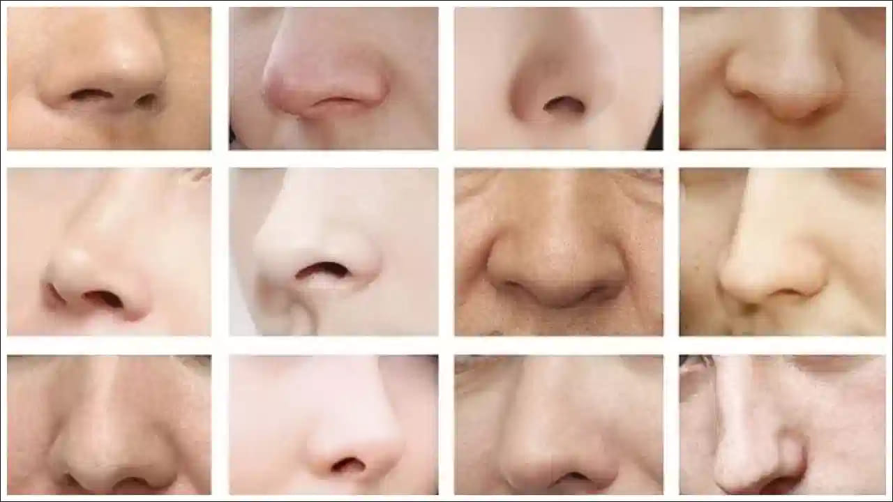  లావు ముక్కు: ముక్కు లావుగా ఉన్న వ్యక్తులు చాలా  స్పీడ్‌గా ఉంటారు. వీళ్లు ప్రతి విషయంలో యాక్టీవ్‌గా ఉంటారు. వీళ్లు చాలా తెలివైనవారు. అలాగే వీళ్లు దయాగుణం, సున్నితమైన మనస్తత్వం కలిగి ఉంటారు. అయితే ఈ వీరిలోని ఈ కొణాలన్ని అత్యంత దగ్గరిగా ఉన్న వారికి మాత్రమే తెలుస్తాయి. వీరు ఏ విషయాన్నైనా త్వరగా ఆటోచించి నిర్ణయం తీసుకుంటారు. వీరు డబ్బు విషయంలో చాలా జాగ్రత్తగా ఉంటారు. అనవసర ఖర్చులు అస్సలు చేయరు. 