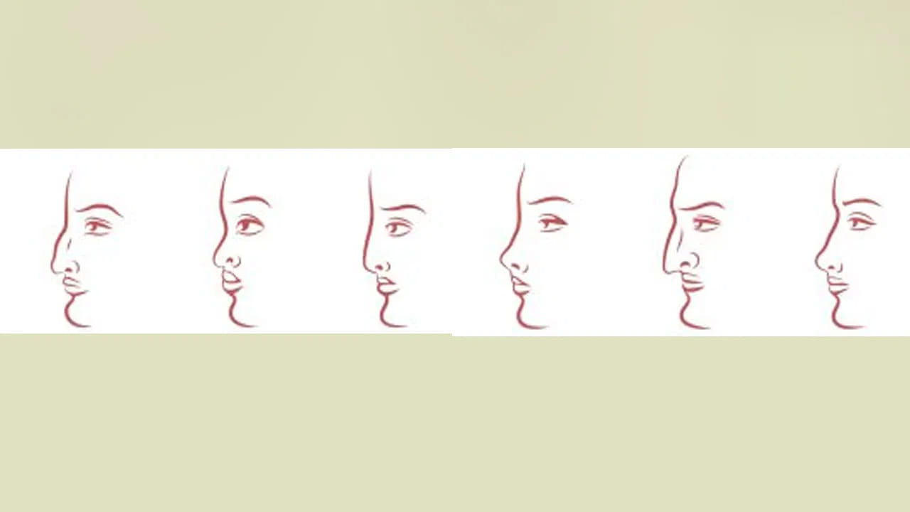  చిన్న ముక్కు:  ముక్కు చిన్నగా ఉన్న వ్యక్తులు త్వరగా అందరితో కలిసిపోతారు. ఎక్కువగా జనాల్లో ఉండేందుకు ఇష్టపడుతారు. అలాగే వీరు నాయకత్వ లక్షణాలను కలిగి ఉంటారు. ఎప్పుడూ సంతోషంగా ఉంటేందుకు ప్రయత్నిస్తారు. ఇరుగుపొరుగు వారితో ఆప్యాయంగా ఉంటారు. వీళ్లు తమ తెలివితేటలతో తాము అనున్న లక్ష్యాలను పాధిస్తారు. వీళ్లు ఎక్కువగా ప్రైవేట్‌గా ఉండేందుకు ప్రయత్నిస్తారు.