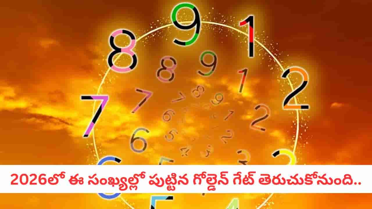 Numerology: అంబానీ రేంజ్ లక్.. 2026లో ఈ సంఖ్యల వారికి ఊహించని ధనయోగం!  బ్యాంకు బ్యాలెన్స్ డబుల్