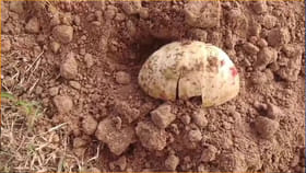 అసలే అమావాస్య రోజు.. ఆ బంజరు భూమి వద్ద కనిపించిన దృశ్యం చూసి..