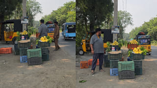 Andhra: అరె.. అప్పుడే వచ్చిన మామిడి పండ్లు…