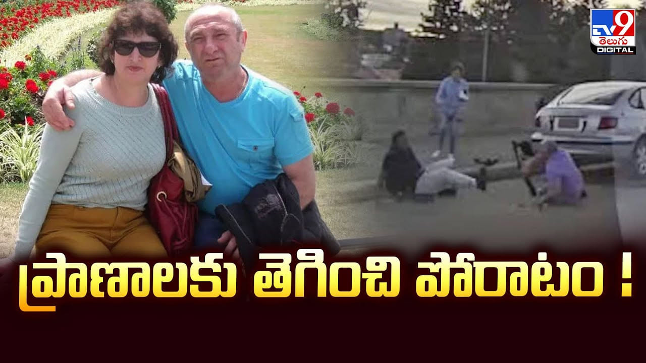 ప్రాణాలకు తెగించి వృద్ధ దంపతుల వీరోచిత పోరాటం