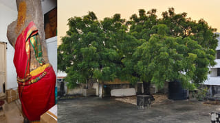 Andhra News: ఫ్రీ..ఫ్రీ..ఫ్రీ.. రూ.1000కే సినిమా థియేటర్..! ఆ జిల్లాలో హాట్‌ టాపిక్‌ మారిన పోస్టర్లు!