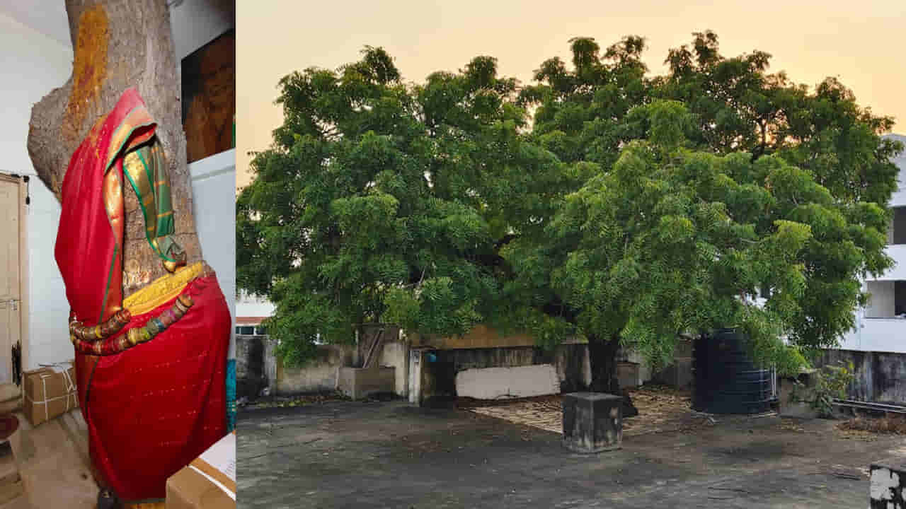 Andhra: కింద ఏమో ఇలా.. 3 అంతస్థుల పైన అలా.. ఆశ్చర్యం.. అద్భుతం..