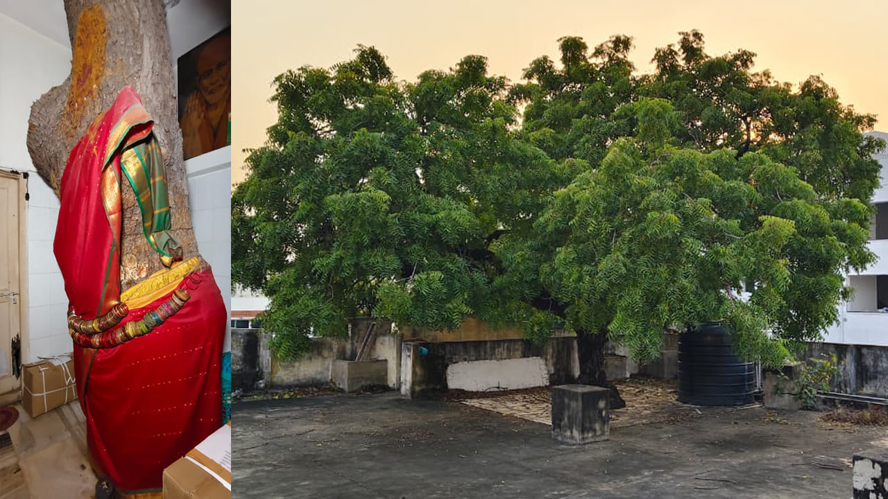 Andhra: కింద ఏమో ఇలా.. 3 అంతస్థుల పైన అలా.. ఆశ్చర్యం.. అద్భుతం..