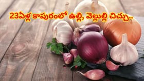 ఉల్లి, వెల్లుల్లి పెట్టిన పంచాయితీ.! 23ఏళ్ల కాపురానికి గుడ్‌బై..