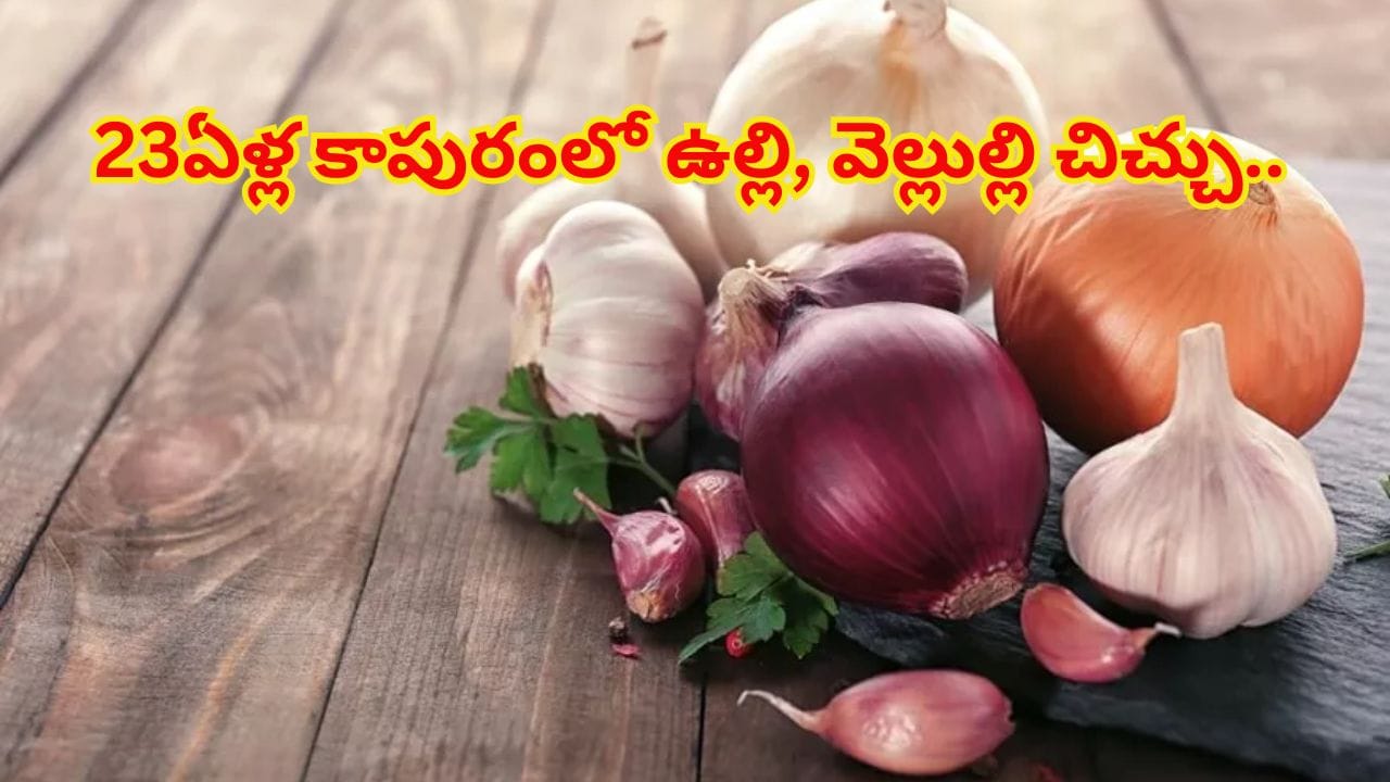 ఉల్లి వెల్లుల్లి పెట్టిన పంచాయితీ.. ...23 ఏళ్ల పెళ్లి బంధానికి గుడ్బై..