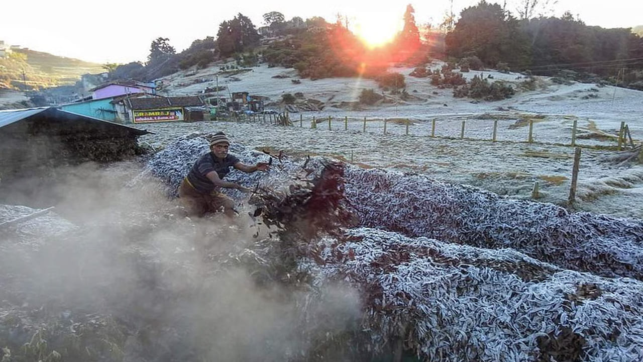 ఊటీ రైల్వే స్టేషన్:  నగరంలోని కలోనియల్ రైల్వే స్టేషన్, బ్రిటిష్ వారు నిర్మించిన పాతకాలపు స్టేషన్‌లో సందర్శకులు శరదృతువు అందాలను ఆస్వాదించగల ప్రదేశం. మీరు ఫెర్న్ హిల్ స్టేషన్ వరకు ఫుట్‌పాత్ ద్వారా ఉదయం నడక కూడా చేయవచ్చు, రెండు వైపులా విశాల దృశ్యాలను ఆస్వాదిస్తారు.