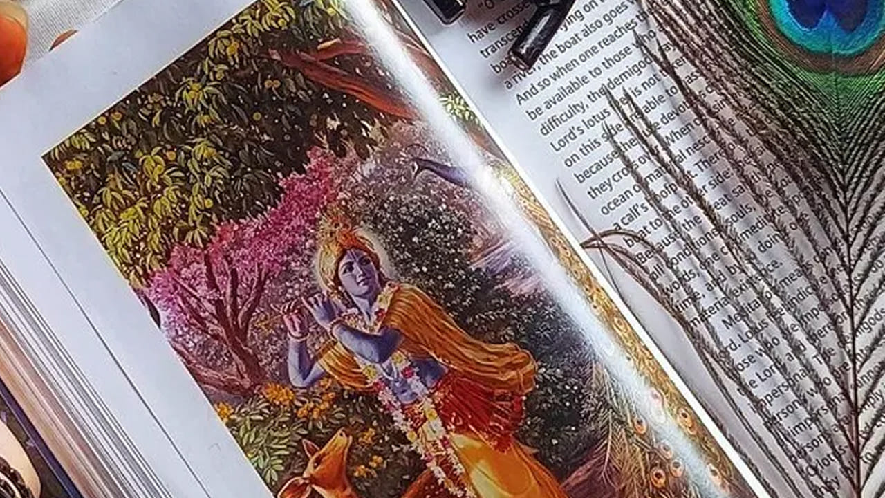 సంఖ్య 8 (ఫలితంపై కాదు, విధిపై దృష్టి పెట్టండి): శని జనన సంఖ్య 8ను నియమిస్తుంది, వారికి క్రమశిక్షణ, స్థితిస్థాపకతను ఇస్తుంది. ఫలితాల కంటే వారి చర్యలపై దృష్టి పెట్టాలని గీత వారికి బోధిస్తుంది. వారు నిజాయితీతో పనిచేసినప్పుడు, అంచనాలను విడిచిపెట్టినప్పుడు, వారు జీవితంలో శాంతి, ఎక్కువ సమతుల్యతను కనుగొంటారు.