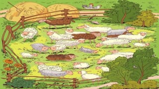 లండన్‌‌‌‌ వీధుల్లో.. ఇదేం దరిద్రంరా బాబు..! ఎక్కడ చూసినా అవే మరకలు.. నెటిజన్ల ఫైర్