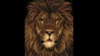 Brain Teaser : తెలివైన వారికే ఈ సవాల్.. సింహంలో దాగిఉన్న చిట్టెలుకను గుర్తిస్తే.. మీరే తోపులు!