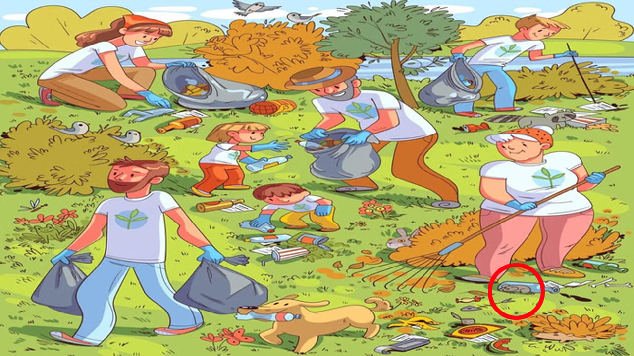 Optical Illusion Challenge