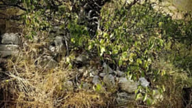 కిరాక్ మామ.. కిరాక్.. 10 సెకన్లలో పిల్లిని కనిపెడితే మీరు తోపులే