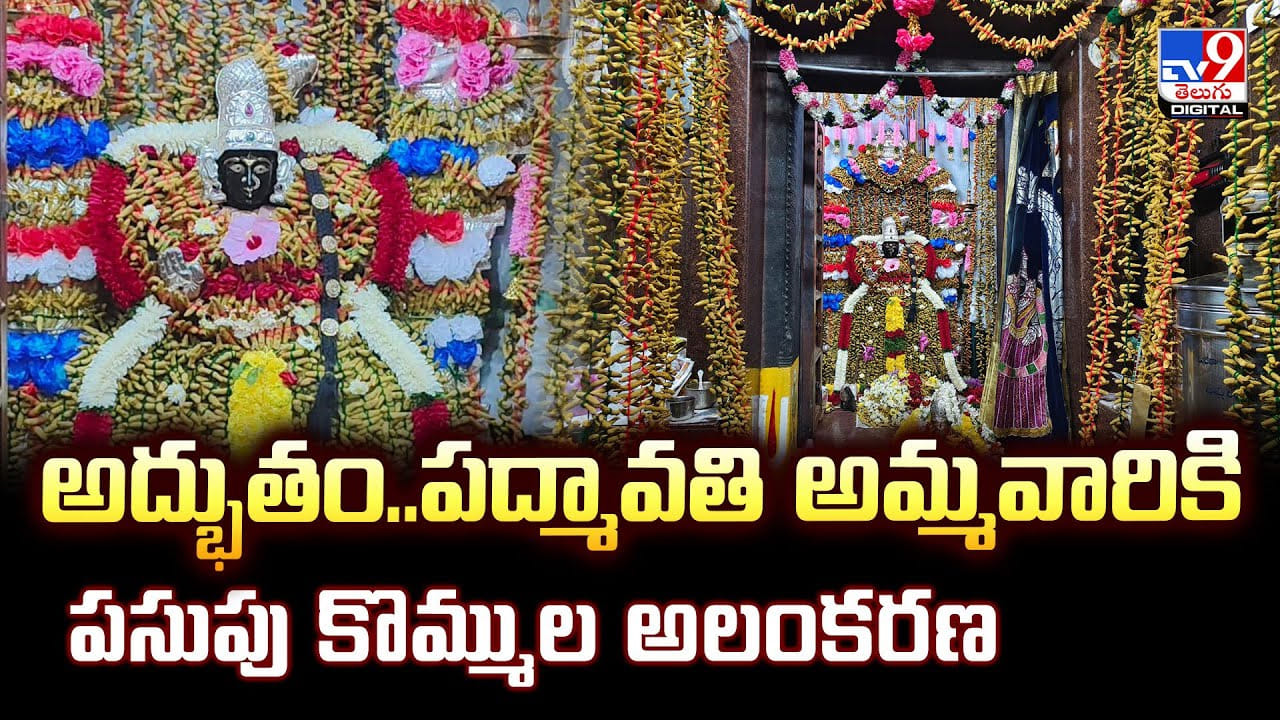 అద్భుతం.. పద్మావతి అమ్మవారికి పసుపు కొమ్ముల అలంకరణ