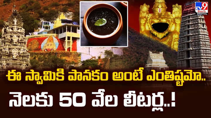 ఈ స్వామికి పానకం అంటే ఎంతిష్టమో.. నెలకు 50 వేల లీటర్ల ఈ స్వామికి పానకం అంటే ఎంతిష్టమో.. నెలకు 50 వేల లీటర్ల