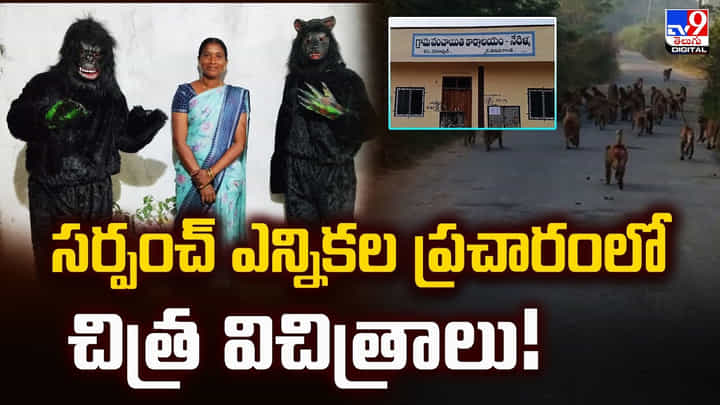 సర్పంచ్ ఎన్నికల ప్రచారంలో చిత్ర విచిత్రాలు సర్పంచ్ ఎన్నికల ప్రచారంలో చిత్ర విచిత్రాలు