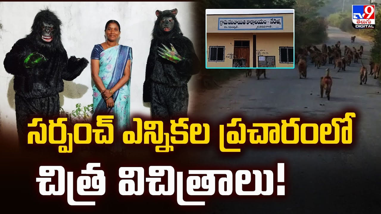 సర్పంచ్ ఎన్నికల ప్రచారంలో చిత్ర విచిత్రాలు సర్పంచ్ ఎన్నికల ప్రచారంలో చిత్ర విచిత్రాలు