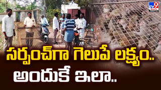 సర్పంచ్‌ ఎన్నికల ప్రచారంలో చిత్ర విచిత్రాలు