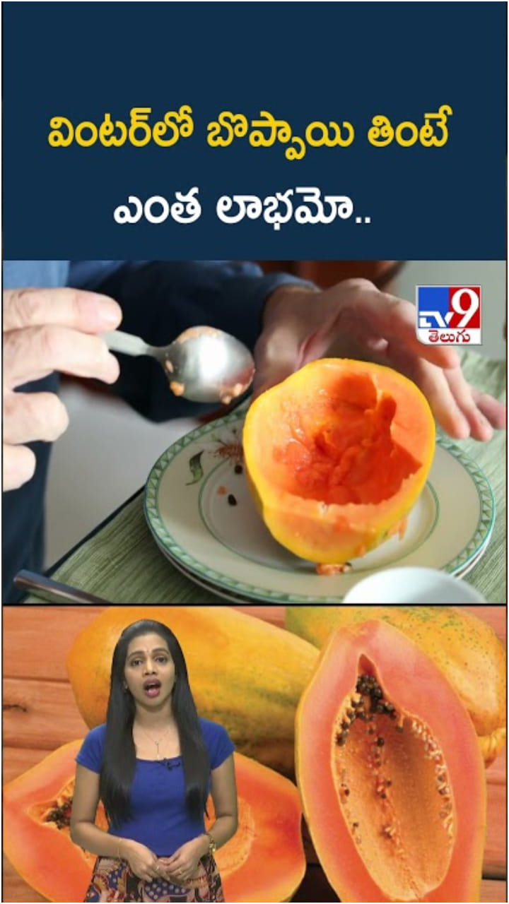 Papaya Fruit: చలికాలంలో బొప్పాయి తింటే ఏమవుతుందో తెలుసా..?