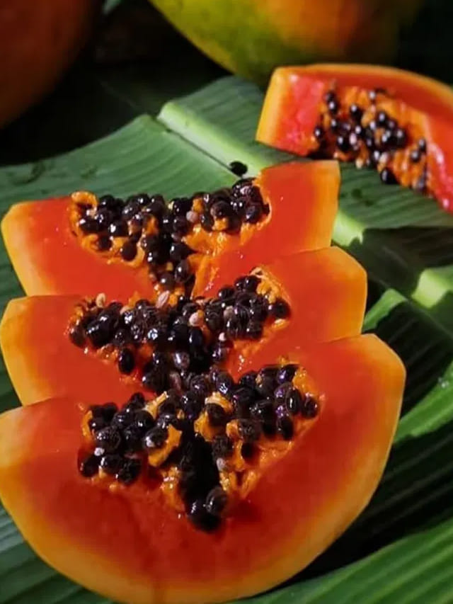 చలికాలంలో బొప్పాయి తింటే ఏమవుతుందో తెలుసా?