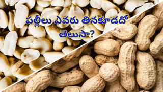 బీరకాయ మీ డైట్‌లో ఉంటే బోలెడన్నీ లాభాలు.. ఇమ్యూనిటీ పెరగడంతో పాటు, గుండెకు మేలు..