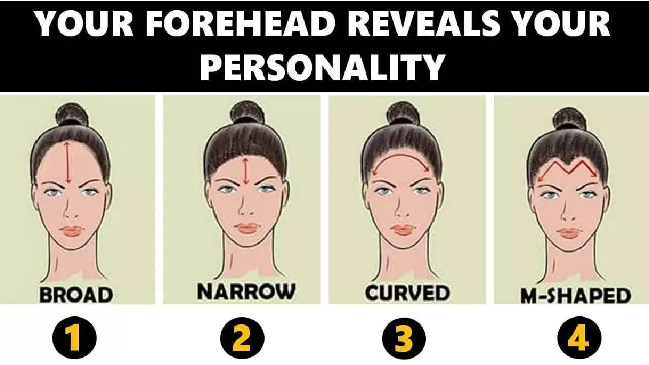 M-ఆకారపు నుదుట: M-ఆకారపు నుదుట కలిగిన వారు కళాభిమానులు. వీరు తమ పని గురించి చాలా జాగ్రత్తగా ఉంటారు. వారు దృఢ నిశ్చయంతో ప్రతి పనిని ముందుచూపుతో చేస్తారు. వారు ఎల్లప్పుడూ ప్రశాంతంగా ఉంటారు. వారు కొన్నిసార్లు కోపంగా ఉన్నప్పటికీ, వారు చాలా త్వరగా క్షమాపణలు చెబుతారు. ముఖ్యంగా, వారు తమకు ఇష్టమైన వారిని ఎట్టి పరిస్థితుల్లోనూ విడిచిపెట్టరు.