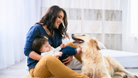 ఇంట్లో చిన్న పిల్లలు ఉంటే కుక్కలను పెంచుకోవచ్చా..?