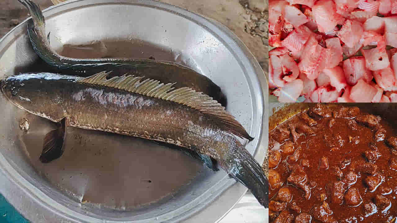 Telangana: అయ బాబోయ్.. చూత్తేనే నోరూరిపోతుంది.. ఇలా చేస్తే కొరమీను పచ్చడి 6 నెలల నిల్వ పక్కా..