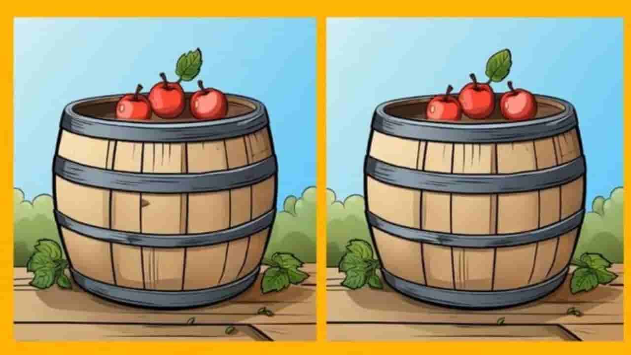 Picture Puzzle: దమ్ముంటే కాస్కో.. 13 సెకన్లలో ఈ రెండు చిత్రాల మధ్య తేడాలను గుర్తిస్తే నువ్వే తోపు!